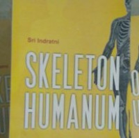Image of Skeleton Humanum